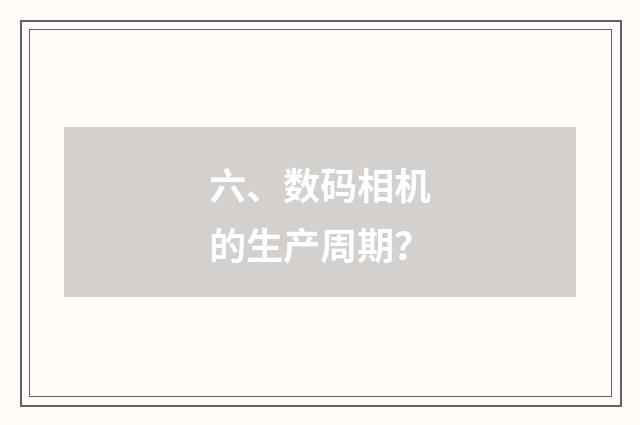 六、数码相机的生产周期?