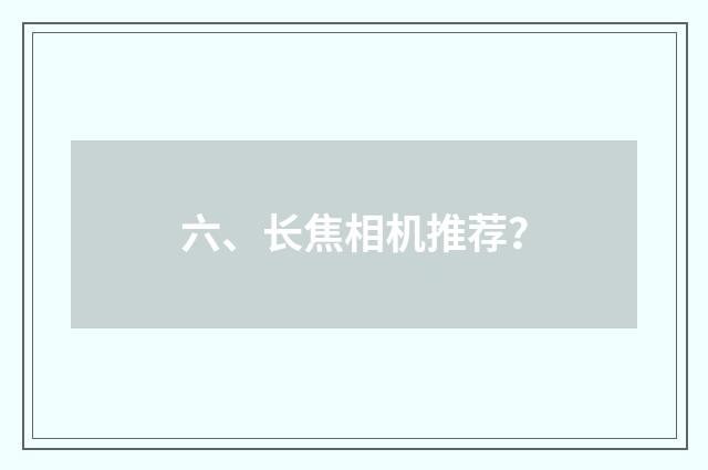 六、长焦相机推荐?