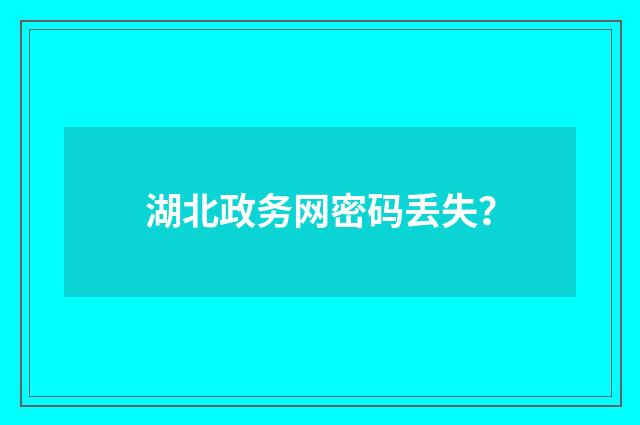 湖北政务网密码丢失?