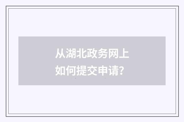从湖北政务网上如何提交申请?