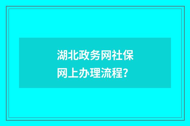 湖北政务网社保网上办理流程?