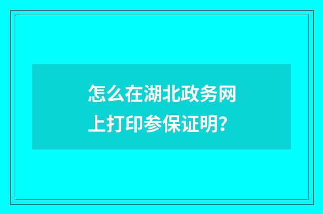 怎么在湖北政务网上打印参保证明？