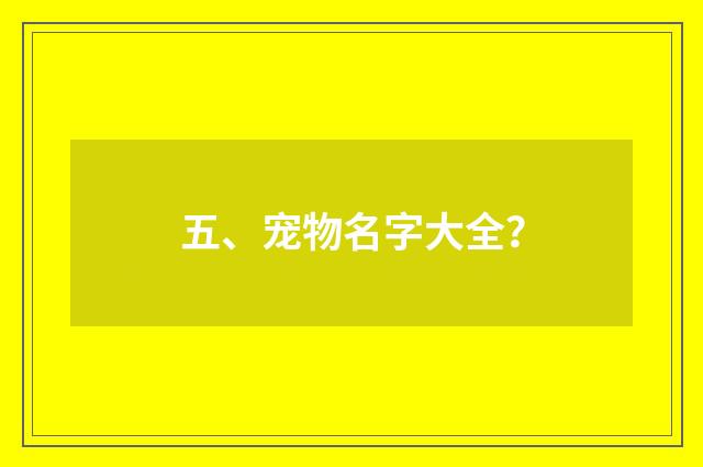五、宠物名字大全？