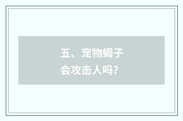 五、宠物蝎子会攻击人吗?