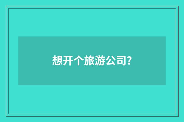 想开个旅游公司？