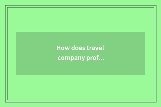 How does travel company profit?