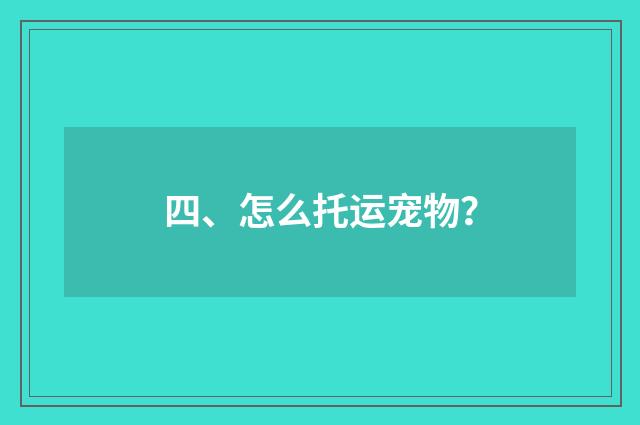 四、怎么托运宠物？