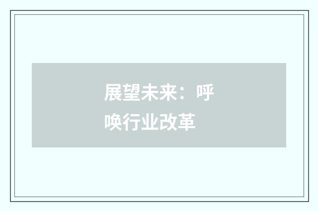 展望未来：呼唤行业改革