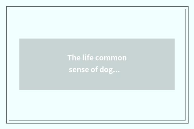 The life common sense of dog dog?