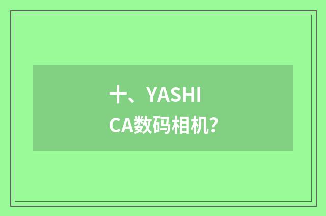 十、YASHICA数码相机?