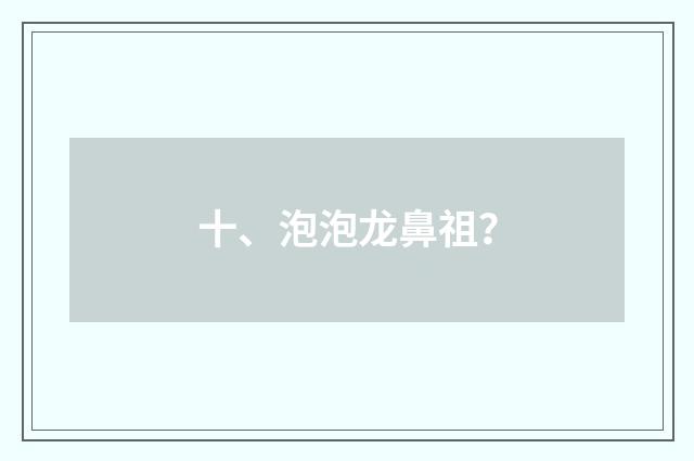 十、泡泡龙鼻祖？