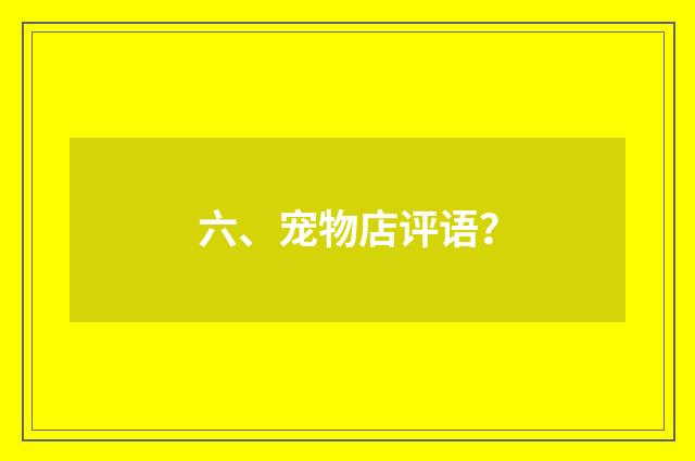 六、宠物店评语?