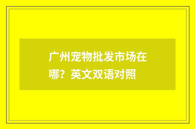 广州宠物批发市场在哪?英文双语对照