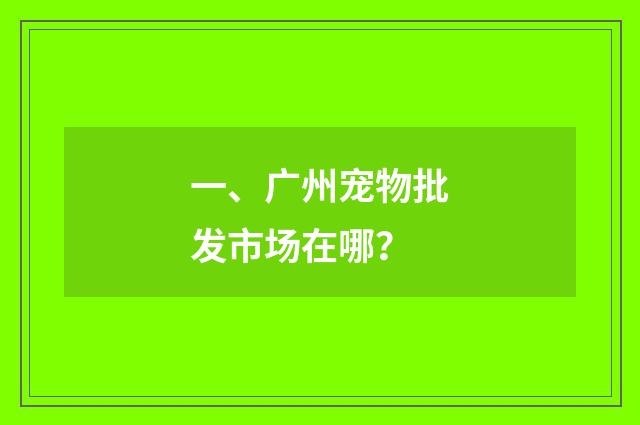 一、广州宠物批发市场在哪？