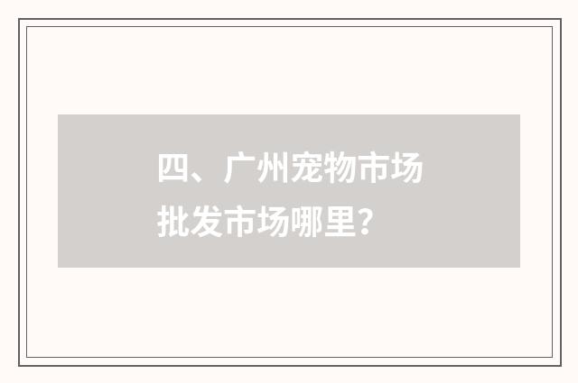 四、广州宠物市场批发市场哪里？