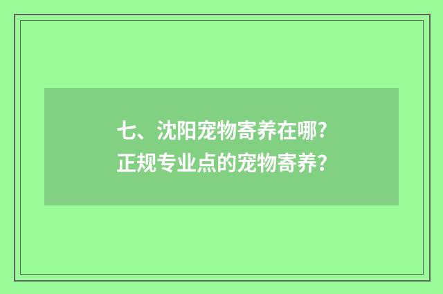 七、沈阳宠物寄养在哪?正规专业点的宠物寄养?