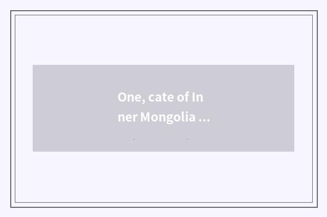 One, cate of Inner Mongolia the four seasons?