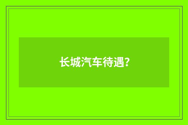 长城汽车待遇?