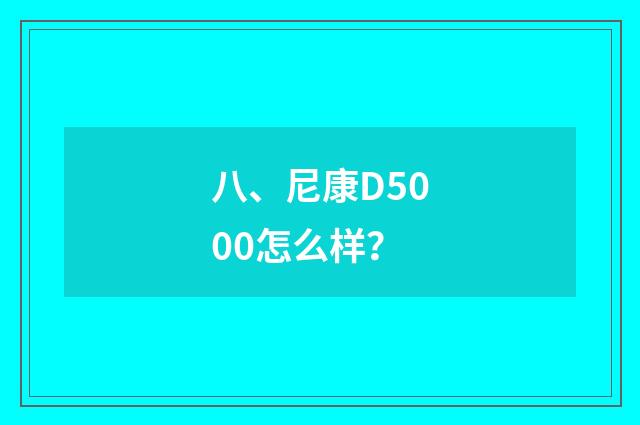 八、尼康D5000怎么样?