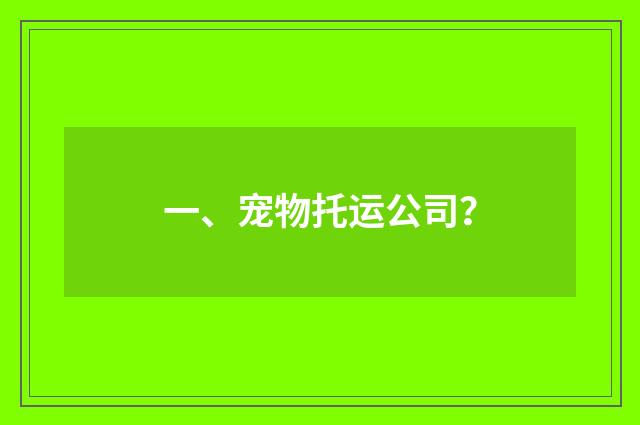 一、宠物托运公司?