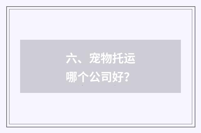 六、宠物托运哪个公司好？