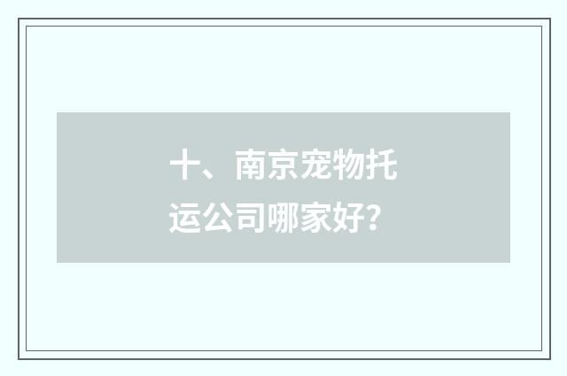 十、南京宠物托运公司哪家好？