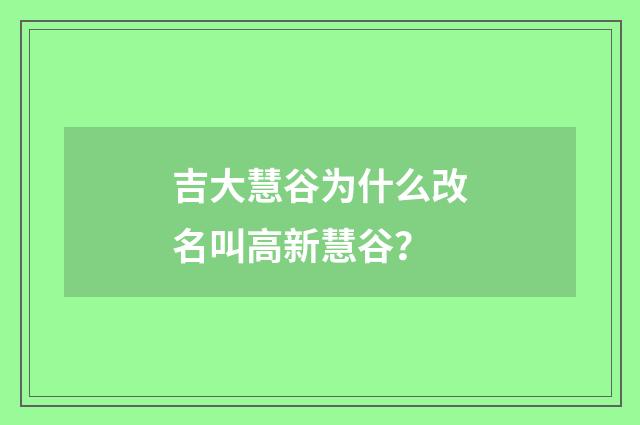 吉大慧谷为什么改名叫高新慧谷?