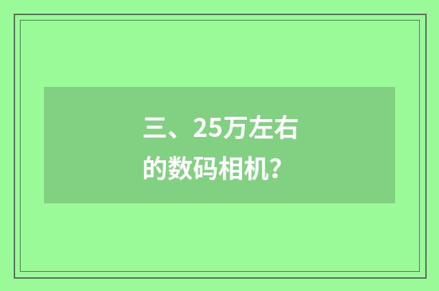 三、25万左右的数码相机?