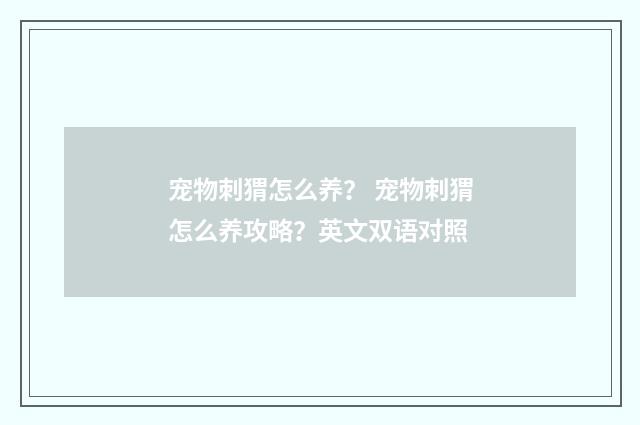 宠物刺猬怎么养? 宠物刺猬怎么养攻略?英文双语对照
