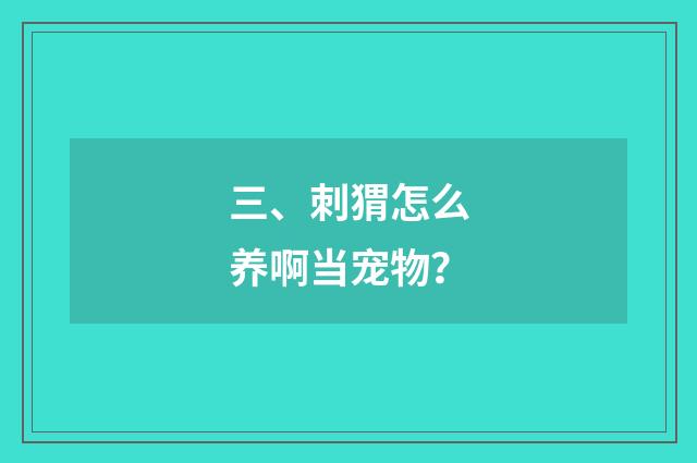 三、刺猬怎么养啊当宠物?
