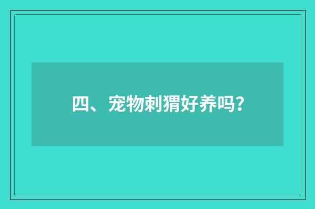 四、宠物刺猬好养吗?