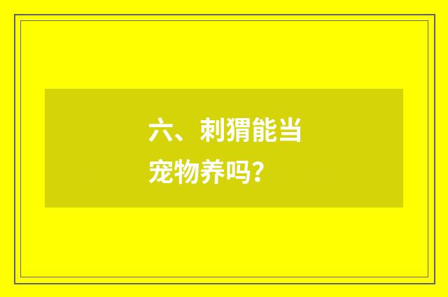 六、刺猬能当宠物养吗?