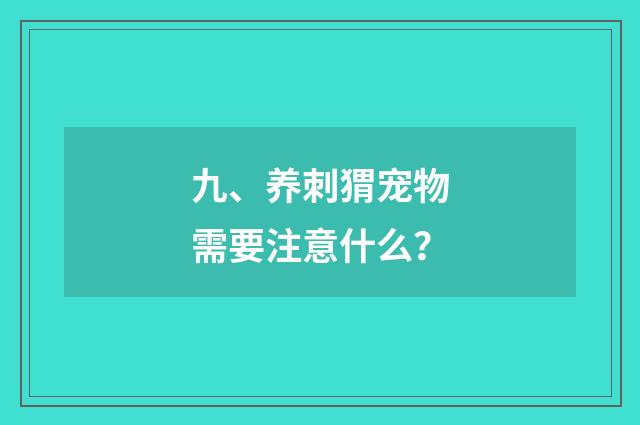 九、养刺猬宠物需要注意什么?