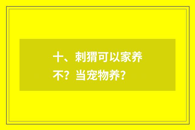 十、刺猬可以家养不?当宠物养?