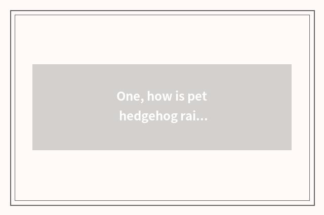 One, how is pet hedgehog raised?