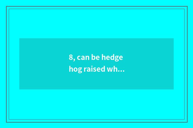 8, can be hedgehog raised when pet?