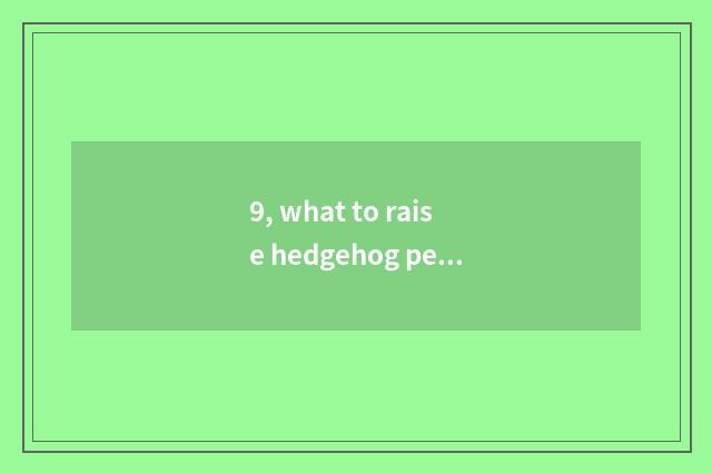 9, what to raise hedgehog pet to need to notice?