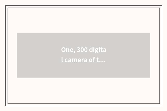 One, 300 digital camera of the left and right sides?