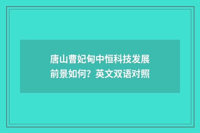 唐山曹妃甸中恒科技发展前景如何?英文双语对照
