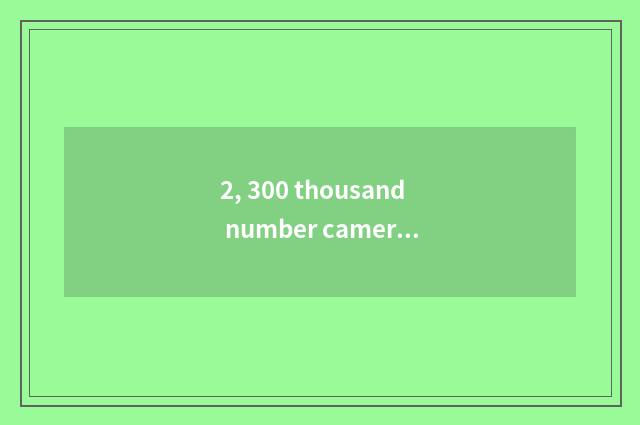 2, 300 thousand number camera of the left and right sides?