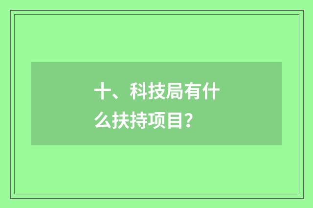 十、科技局有什么扶持项目?