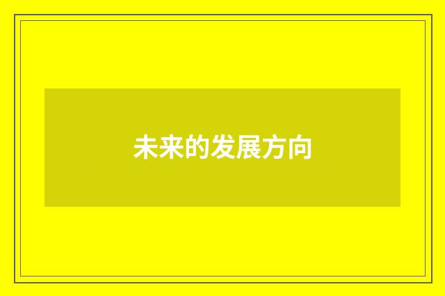 未来的发展方向