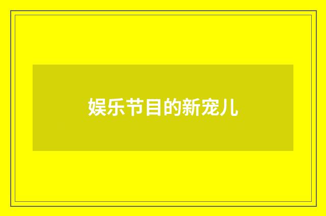 娱乐节目的新宠儿