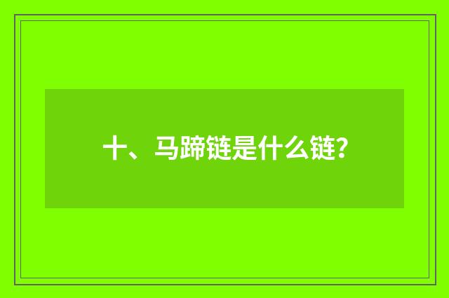 十、马蹄链是什么链？