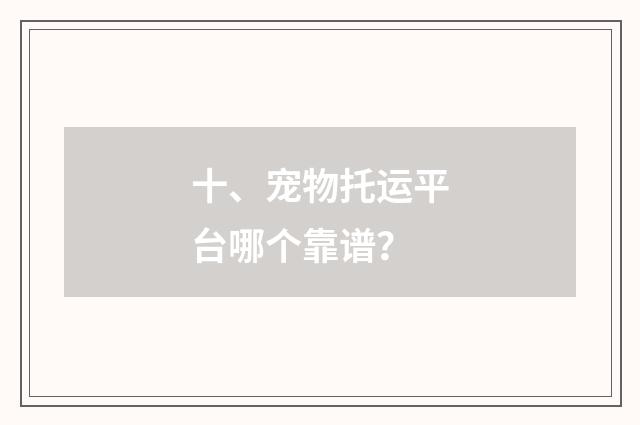 十、宠物托运平台哪个靠谱?