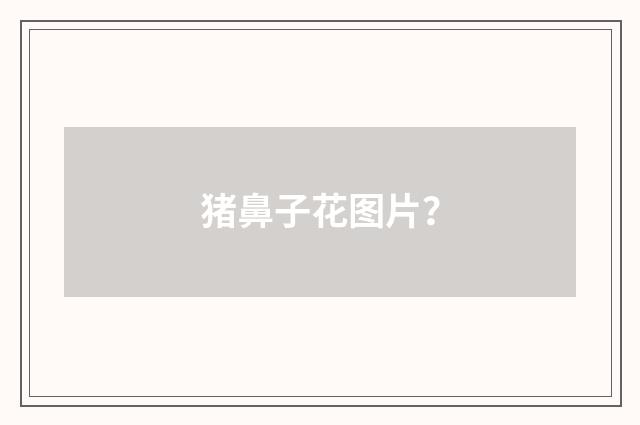 猪鼻子花图片?