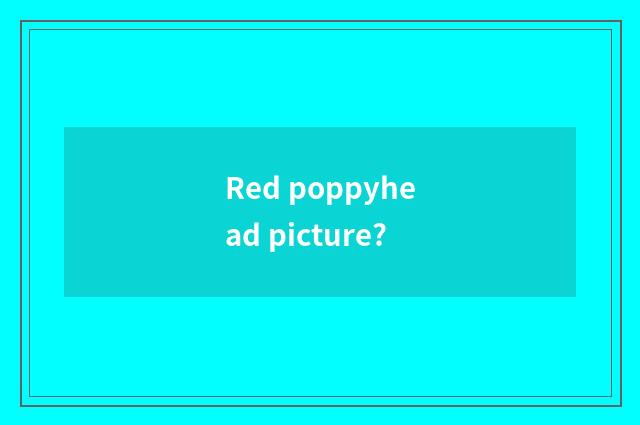Red poppyhead picture?