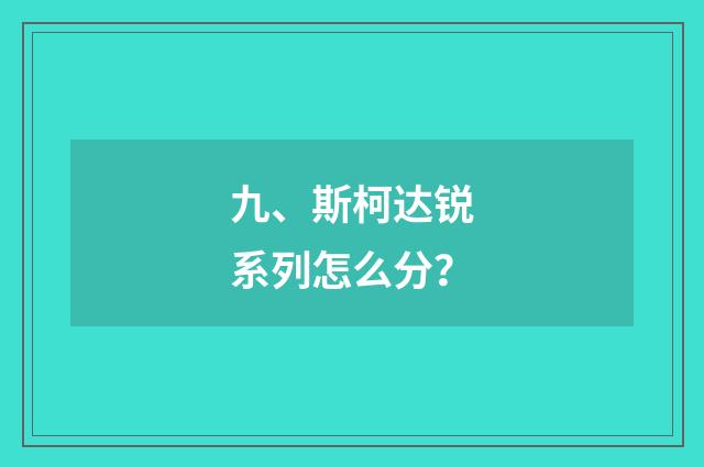 九、斯柯达锐系列怎么分?