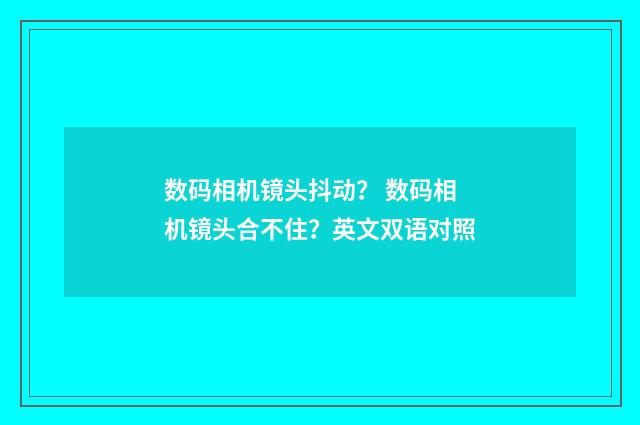 数码相机镜头抖动？ 数码相机镜头合不住？英文双语对照