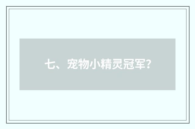 七、宠物小精灵冠军?